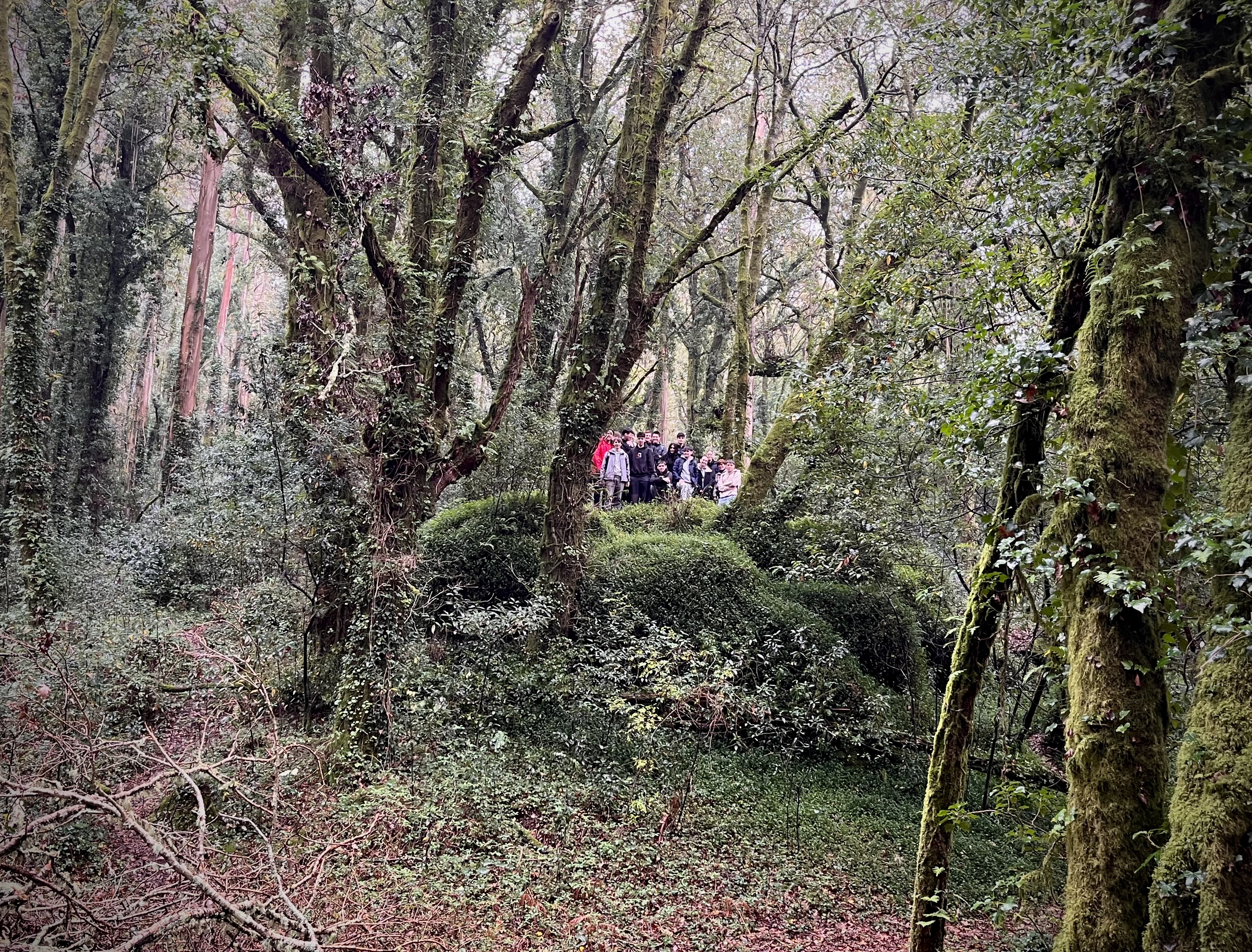 Fieldwork